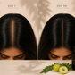 Melina's Ayurvedic Hair Treatment - Hairloss & Thinning